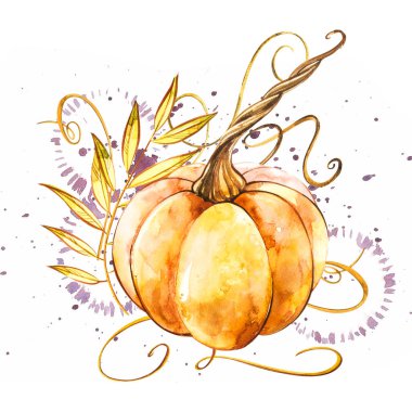 Balkabağı. El Beyaz zemin üzerine suluboya resim çekilmiş. Bir sıçrama ile suluboya resim.