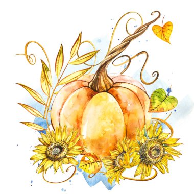 Kabak ayçiçeği ile. El Beyaz zemin üzerine suluboya resim çekilmiş. Bir sıçrama ile suluboya resim.