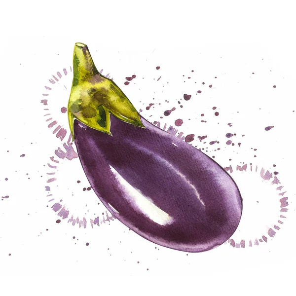 Aubergine. Aquarelle dessinée à la main sur fond blanc. Illustration aquarelle avec éclaboussure . — Photo