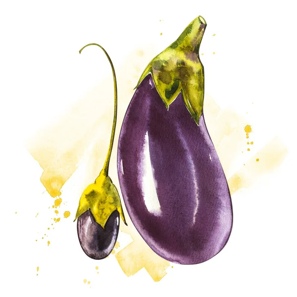 Aubergine. Hand getekend aquarel op witte achtergrond. Aquarel illustratie met een plons. — Stockfoto