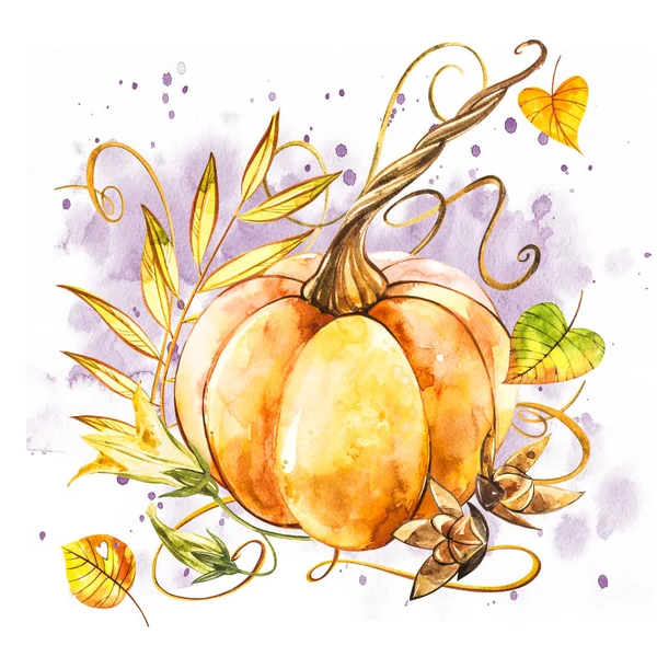 Pumpkin. Hand drawn watercolor painting on white background. Watercolor illustration with a splash. — Stock Photo, Image