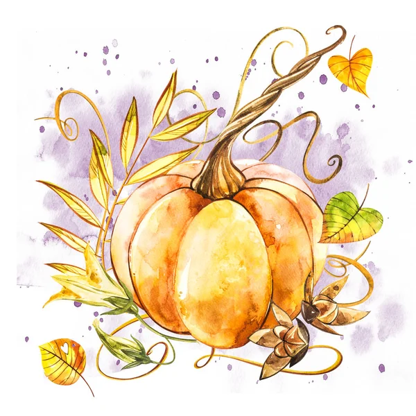 Zucca. Pittura ad acquerello disegnata a mano su sfondo bianco. Illustrazione ad acquerello con una spruzzata . — Foto Stock