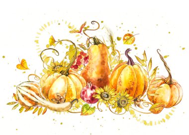 Kabaklar kompozisyon. El Beyaz zemin üzerine suluboya resim çekilmiş. Sulu boya resimde bir sıçrama ile. Şükran günün kutlu olsun kabak.
