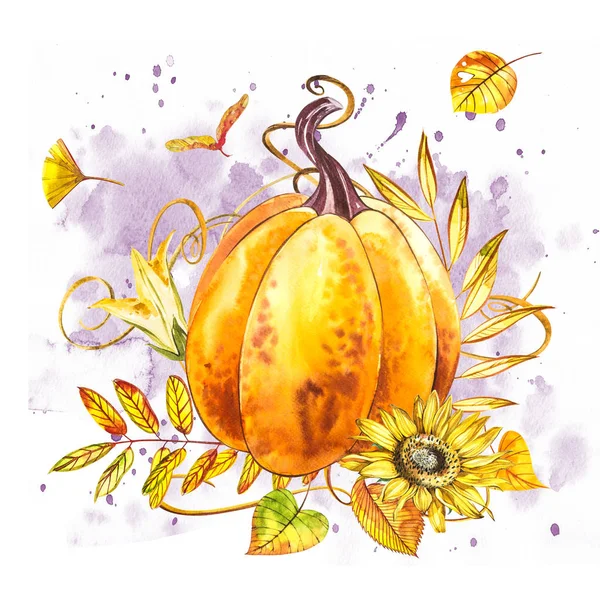 Pumpkin. Hand drawn watercolor painting on white background. Watercolor illustration with a splash. Happy Thanksgiving Pumpkin.