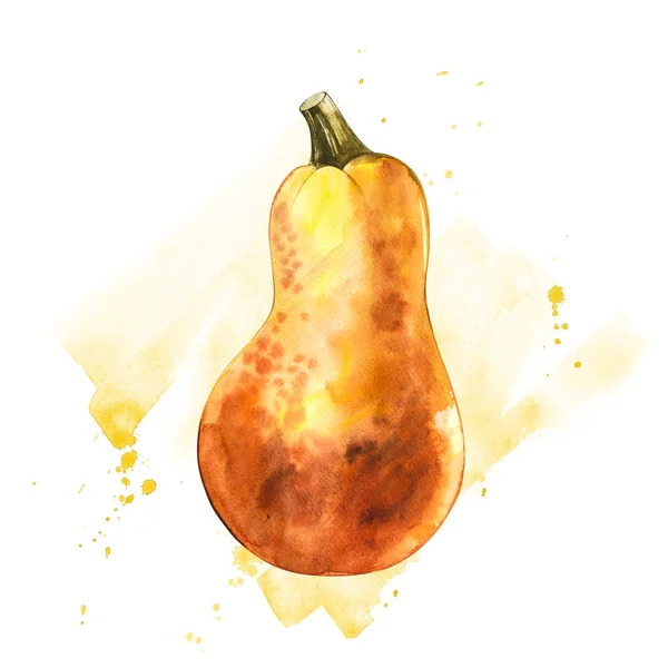 Acuarela Ilustración Dibujada Mano Calabaza Con Salpicaduras Pintura Comida Naranja — Foto de Stock