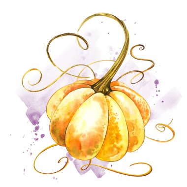 Balkabağı. El Beyaz zemin üzerine suluboya resim çekilmiş. Bir sıçrama ile suluboya resim.