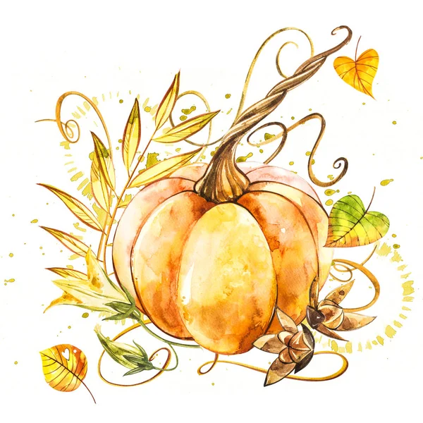 Zucca. Pittura ad acquerello disegnata a mano su sfondo bianco. Illustrazione ad acquerello con una spruzzata . — Foto Stock