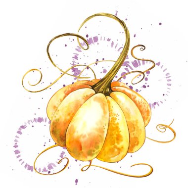 Balkabağı. El Beyaz zemin üzerine suluboya resim çekilmiş. Bir sıçrama ile suluboya resim.