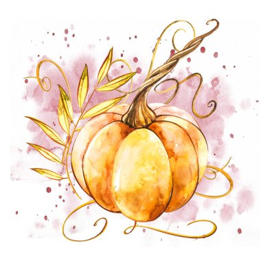 Balkabağı. El Beyaz zemin üzerine suluboya resim çekilmiş. Bir sıçrama ile suluboya resim.