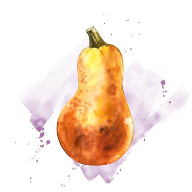 Suluboya elle çizilmiş illüstrasyon kabak boya ile su sıçramalarına. Turuncu yiyecek. Sanat taze sulu boya Turuncu kabak beyaz arka plan üzerinde izole.