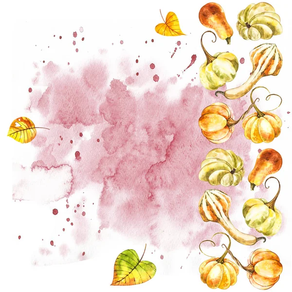 Pumpkin. Hand drawn watercolor painting on white background. Watercolor illustration with a splash.