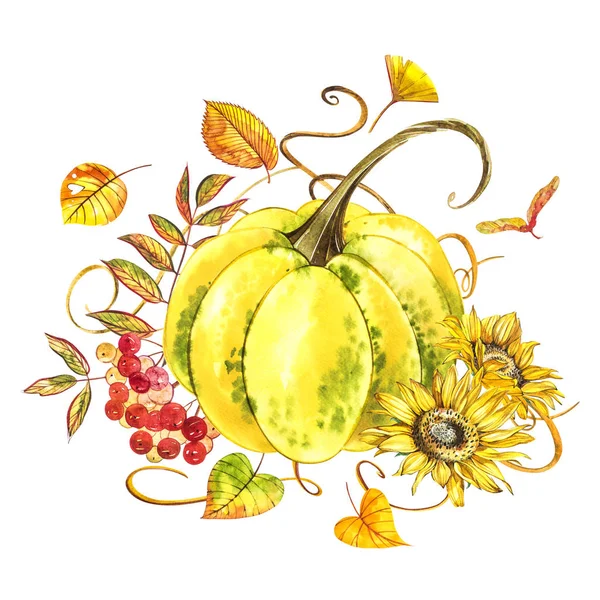 Zucche. Pittura ad acquerello disegnata a mano su sfondo bianco con spruzzi. Verdure autunnali . — Foto Stock