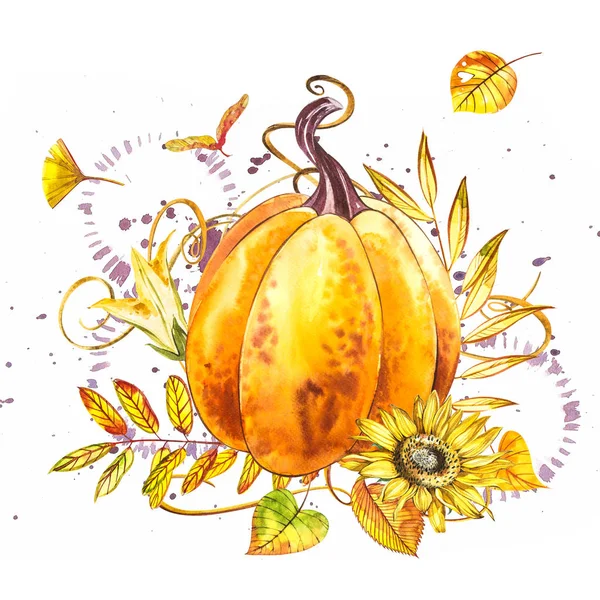 Zucca. Pittura ad acquerello disegnata a mano su sfondo bianco. Illustrazione ad acquerello con una spruzzata. Buona zucca del Ringraziamento . — Foto Stock