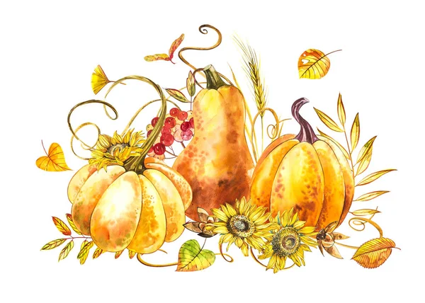 Composizione di zucche. Pittura ad acquerello disegnata a mano su sfondo bianco. Illustrazione ad acquerello con una spruzzata. Buona zucca del Ringraziamento . — Foto Stock