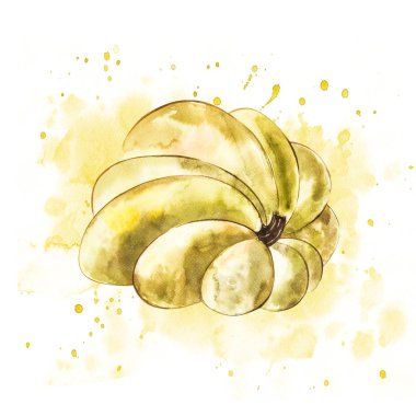 Balkabağı. El Beyaz zemin üzerine suluboya resim çekilmiş. Bir sıçrama ile suluboya resim.