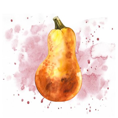 Suluboya elle çizilmiş illüstrasyon kabak boya ile su sıçramalarına. Turuncu yiyecek. Sanat taze sulu boya Turuncu kabak beyaz arka plan üzerinde izole.