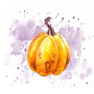 Balkabağı. El Beyaz zemin üzerine suluboya resim çekilmiş. Sulu boya resimde bir sıçrama ile. Şükran günün kutlu olsun kabak.