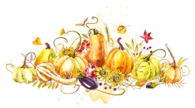 Kabaklar kompozisyon. El Beyaz zemin üzerine suluboya resim çekilmiş. Sulu boya resimde bir sıçrama ile. Şükran günün kutlu olsun kabak.