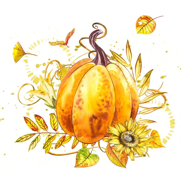 Sütőtök. Kézzel rajzolt akvarell fehér háttér. Akvarell illusztráció egy csobbanás. Boldog Hálaadás Pumpkin. — Stock Fotó