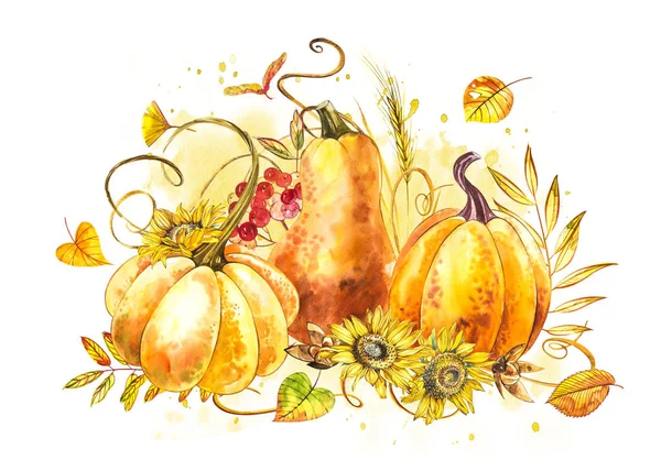 Pumpkins composition. Hand drawn watercolor painting on white background. Watercolor illustration with a splash. Happy Thanksgiving Pumpkin. — Stock Photo, Image