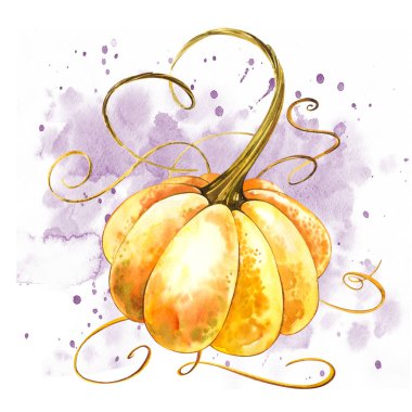 Balkabağı. El Beyaz zemin üzerine suluboya resim çekilmiş. Bir sıçrama ile suluboya resim.