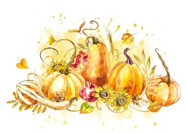 Kabaklar kompozisyon. El Beyaz zemin üzerine suluboya resim çekilmiş. Sulu boya resimde bir sıçrama ile. Şükran günün kutlu olsun kabak.