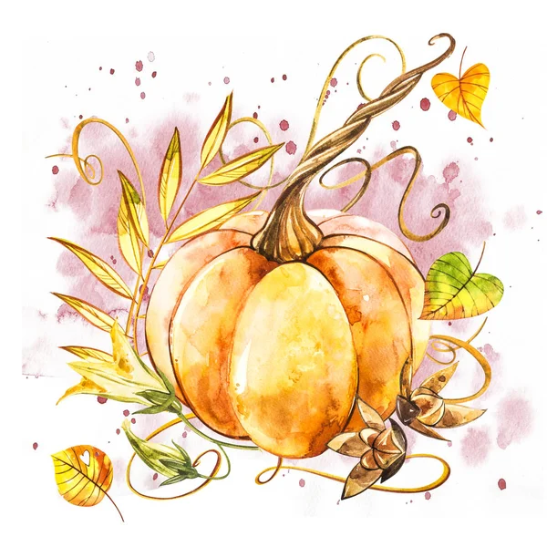 Zucca. Pittura ad acquerello disegnata a mano su sfondo bianco. Illustrazione ad acquerello con una spruzzata . — Foto Stock