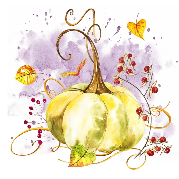 Pumpkin. Hand drawn watercolor painting on white background. Watercolor illustration with a splash.