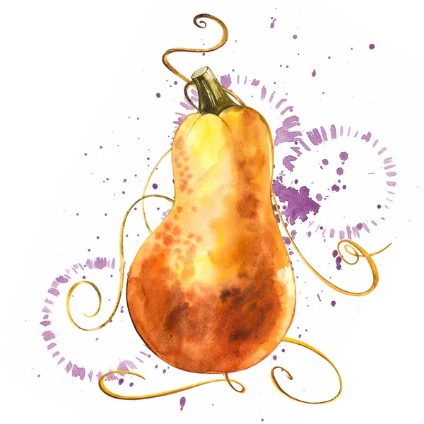 Aquarel hand getrokken illustratie van pompoen met verf spatten. Oranje voedsel. Kunst verse aquarel oranje pompoenen geïsoleerd op de witte achtergrond. — Stockfoto