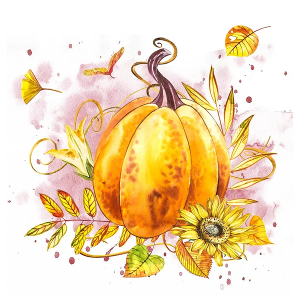 Pumpa. Hand dras akvarellmålning på vit bakgrund. Akvarell illustration med ett plask. Happy Thanksgiving Pumpkin. — Stockfoto