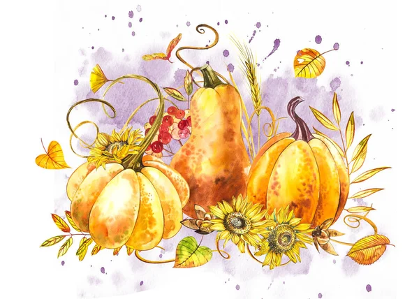 Pumpkins composition. Hand drawn watercolor painting on white background. Watercolor illustration with a splash. Happy Thanksgiving Pumpkin.