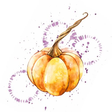 Balkabağı. El Beyaz zemin üzerine suluboya resim çekilmiş. Bir sıçrama ile suluboya resim.