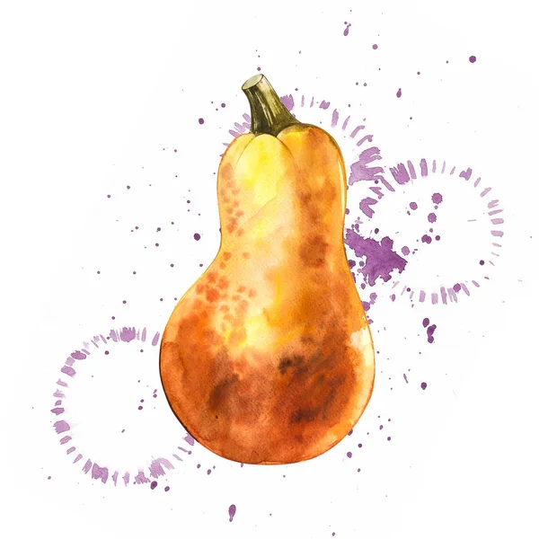 Acuarela ilustración dibujada a mano de calabaza con salpicaduras de pintura. Comida naranja. Arte acuarela fresca calabazas anaranjadas aisladas sobre el fondo blanco . — Foto de Stock