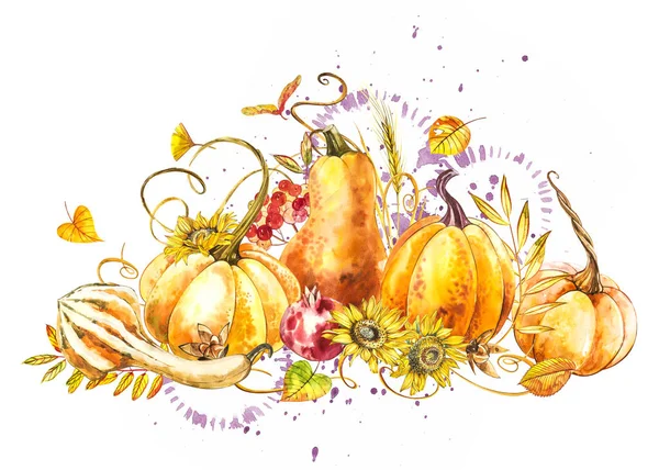 Composición de calabazas. Pintura acuarela dibujada a mano sobre fondo blanco. Ilustración en acuarela con un chapoteo. Feliz día de Acción de Gracias Calabaza . — Foto de Stock