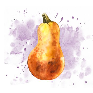 Suluboya elle çizilmiş illüstrasyon kabak boya ile su sıçramalarına. Turuncu yiyecek. Sanat taze sulu boya Turuncu kabak beyaz arka plan üzerinde izole.