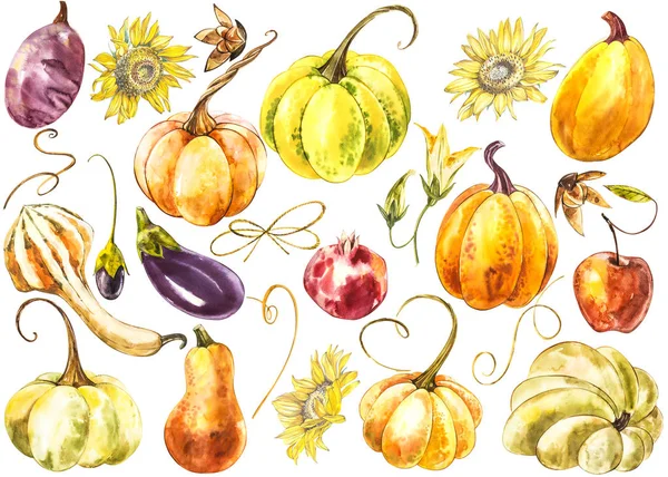 Big set of Pumpkins. Hand drawn watercolor painting on white background. Watercolor illustration. — Stock Photo, Image