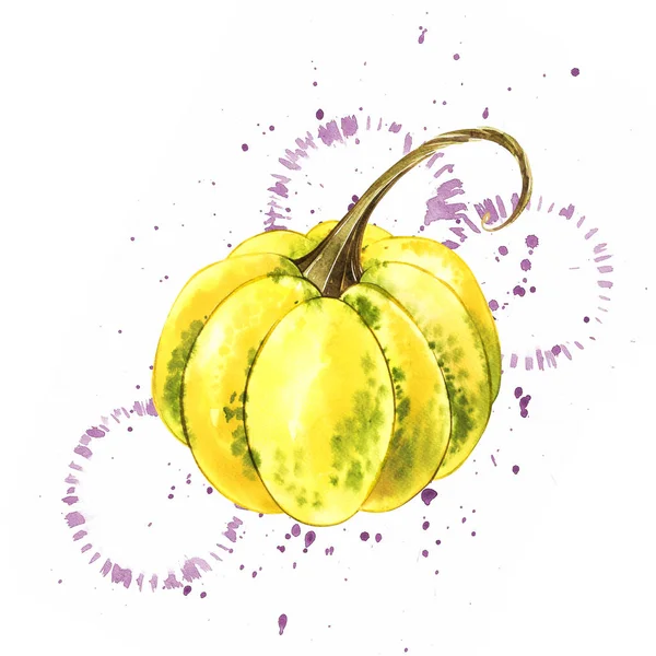 Pumpkins. Hand drawn watercolor painting on white background with splash. Autumn vegetables. — Stock Photo, Image