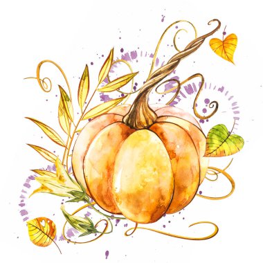 Balkabağı. El Beyaz zemin üzerine suluboya resim çekilmiş. Bir sıçrama ile suluboya resim.