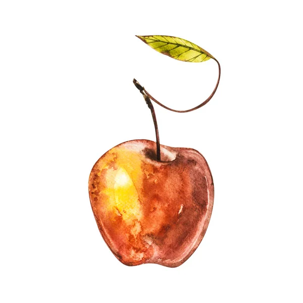 Acuarela de manzana dibujada a mano. Ilustración de frutas naturales aisladas sobre fondo blanco — Foto de Stock