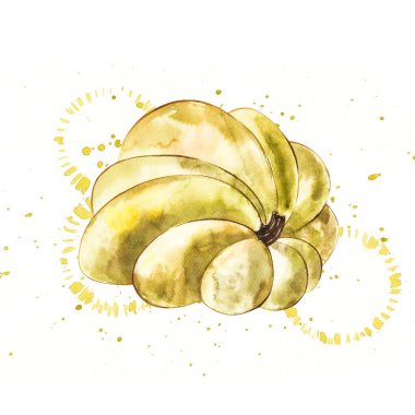 Balkabağı. El Beyaz zemin üzerine suluboya resim çekilmiş. Bir sıçrama ile suluboya resim.