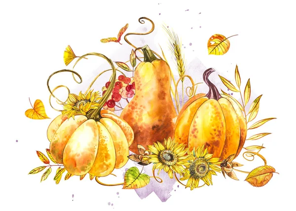 Pumpor sammansättning. Hand dras akvarellmålning på vit bakgrund. Akvarell illustration med ett plask. Happy Thanksgiving Pumpkin. — Stockfoto