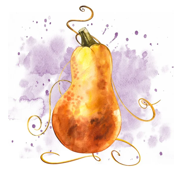 Aquarel hand getrokken illustratie van pompoen met verf spatten. Oranje voedsel. Kunst verse aquarel oranje pompoenen geïsoleerd op de witte achtergrond. — Stockfoto