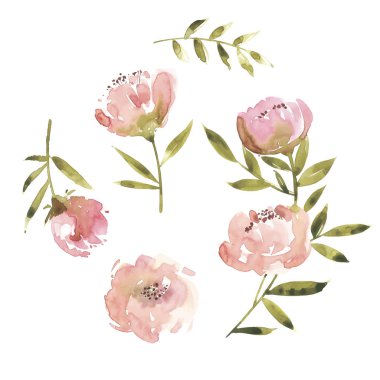 Çiçekler suluboya vektör çizim. Günü, düğün, Doğum günü, Anne Paskalya, Sevgililer s gün.