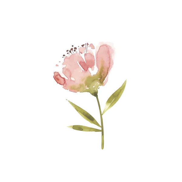 Bloemen aquarel vectorillustratie. Moeder s dag, bruiloft, verjaardag, Pasen, Valentijn s dag. — Stockvector