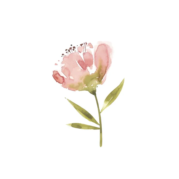 Blumen Aquarell Vektor Illustration. Muttertag, Hochzeit, Geburtstag, Ostern, Valentinstag. — Stockvektor