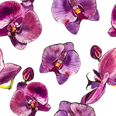 Suluboya dal orkide, elle çizilmiş çiçek Dikişsiz desen arka plan. Flora suluboya resim, botanik boyama, el çizimi.