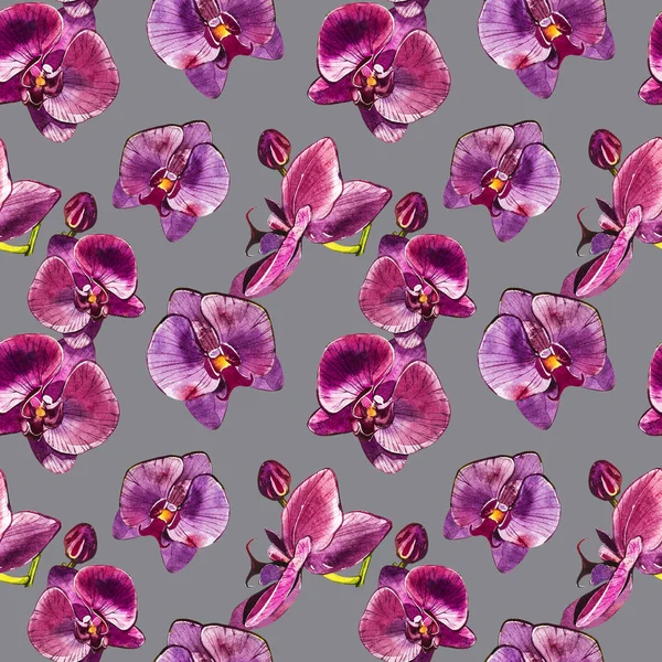 Akvarell orchidea ág, kézzel rajzolt zökkenőmentes virágmintás háttér. Flora akvarell illusztráció, botanikai festés, kézzel. — Stock Fotó