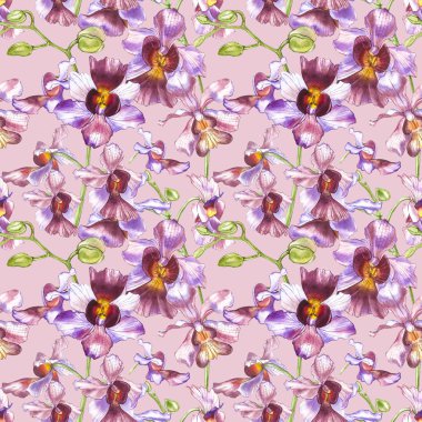 Suluboya dal orkide, elle çizilmiş çiçek Dikişsiz desen arka plan. Flora suluboya resim, botanik boyama, el çizimi.