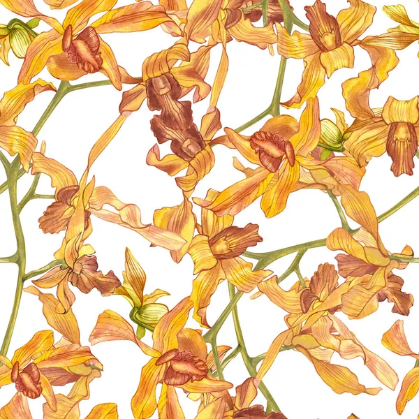 Akvarell orchidea ág, kézzel rajzolt zökkenőmentes virágmintás háttér. Flora akvarell illusztráció, botanikai festés, kézzel. — Stock Fotó