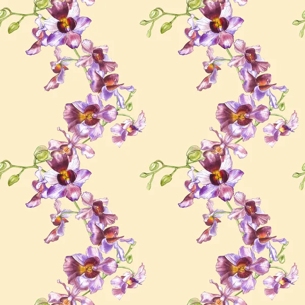 Suluboya dal orkide, elle çizilmiş çiçek Dikişsiz desen arka plan. Flora suluboya resim, botanik boyama, el çizimi.